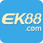which forex broker gives instant withdrawal